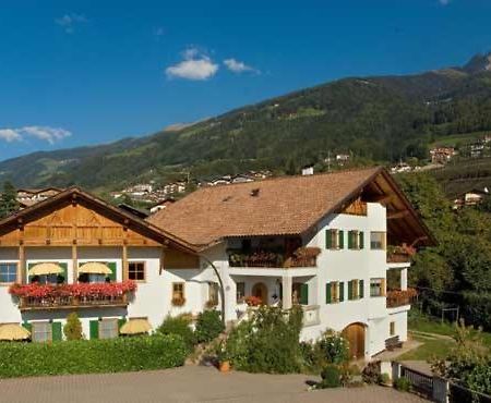 Baumannhof Apartment Шена Екстериор снимка